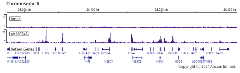 ChIP-sequencing - Anti-FOXP1 antibody [RM1113] (AB320745)