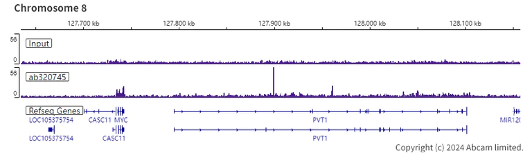 ChIP-sequencing - Anti-FOXP1 antibody [RM1113] (AB320745)