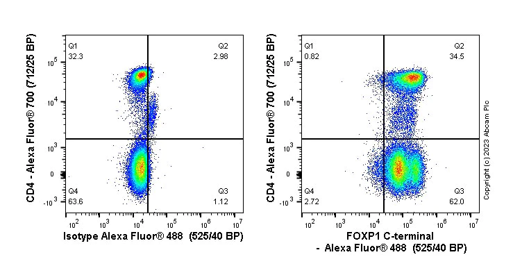 Flow Cytometry (Intracellular) - Anti-FOXP1 antibody [SP133] - BSA and Azide free (AB245739)