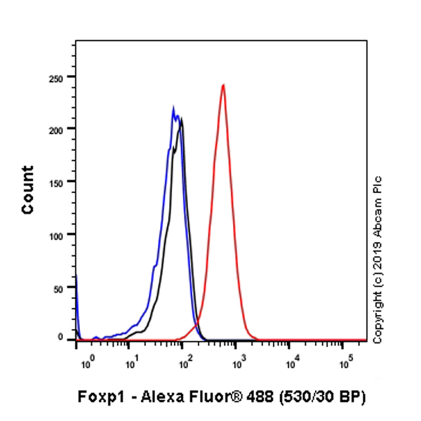 Flow Cytometry (Intracellular) - Anti-FOXP1 antibody [SP133] - C-terminal (AB227649)
