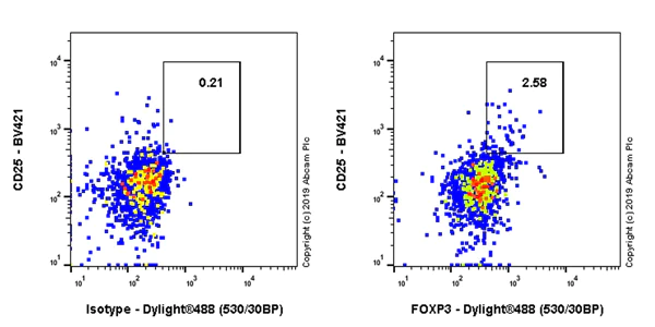 Flow Cytometry (Intracellular) - Anti-FOXP3 antibody [EPR22102-37] (AB215206)