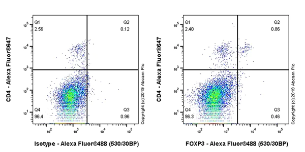 Flow Cytometry (Intracellular) - Anti-FOXP3 antibody [EPR22102-37] - BSA and Azide free (AB244242)