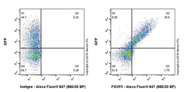 Flow Cytometry (Intracellular) - Anti-FOXP3 antibody [EPR22102-37] - BSA and Azide free (AB244242)