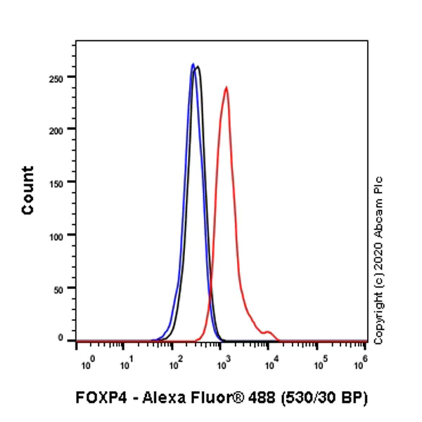 Flow Cytometry (Intracellular) - Anti-FOXP4 antibody [EPR22714-2] (AB242127)