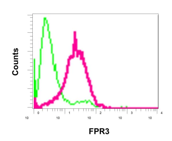 Flow Cytometry - Anti-FPR3 antibody [EPR11865] (AB172908)