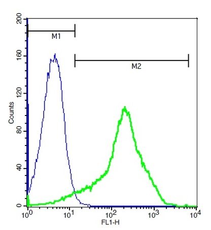 Flow Cytometry - Anti-FPRL1/RFP antibody (AB203129)