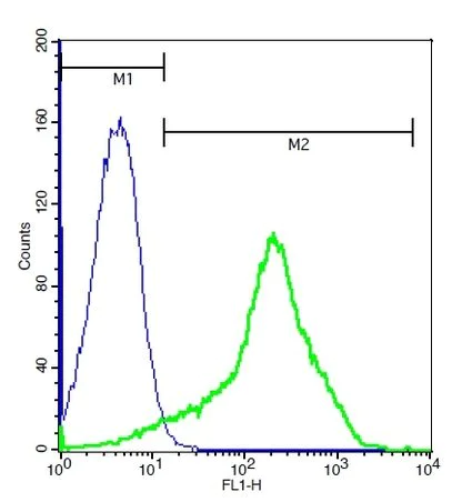 Flow Cytometry - Anti-FPRL1/RFP antibody (AB203129)