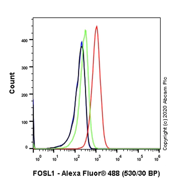 Flow Cytometry (Intracellular) - Anti-FRA1 antibody [EPR23767-177] (AB252421)