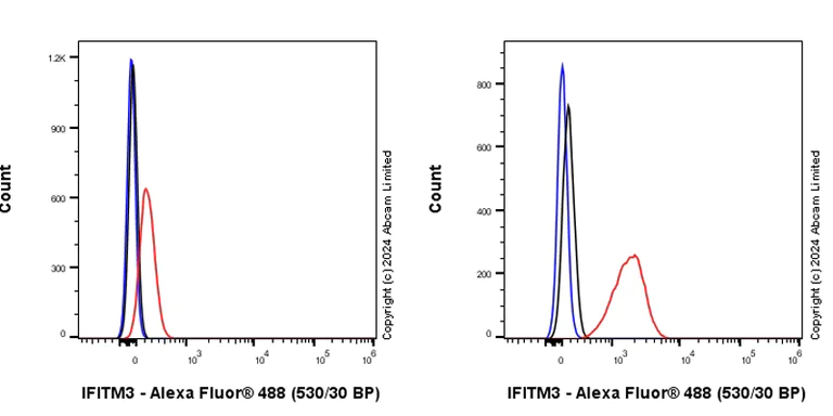 Flow Cytometry (Intracellular) - Anti-Fragilis antibody [RM1224] - BSA and Azide free (AB320854)