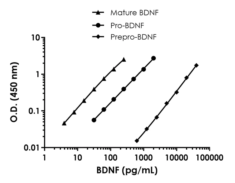 Sandwich ELISA - Free BDNF ELISA Kit - Extracellular (AB324919)