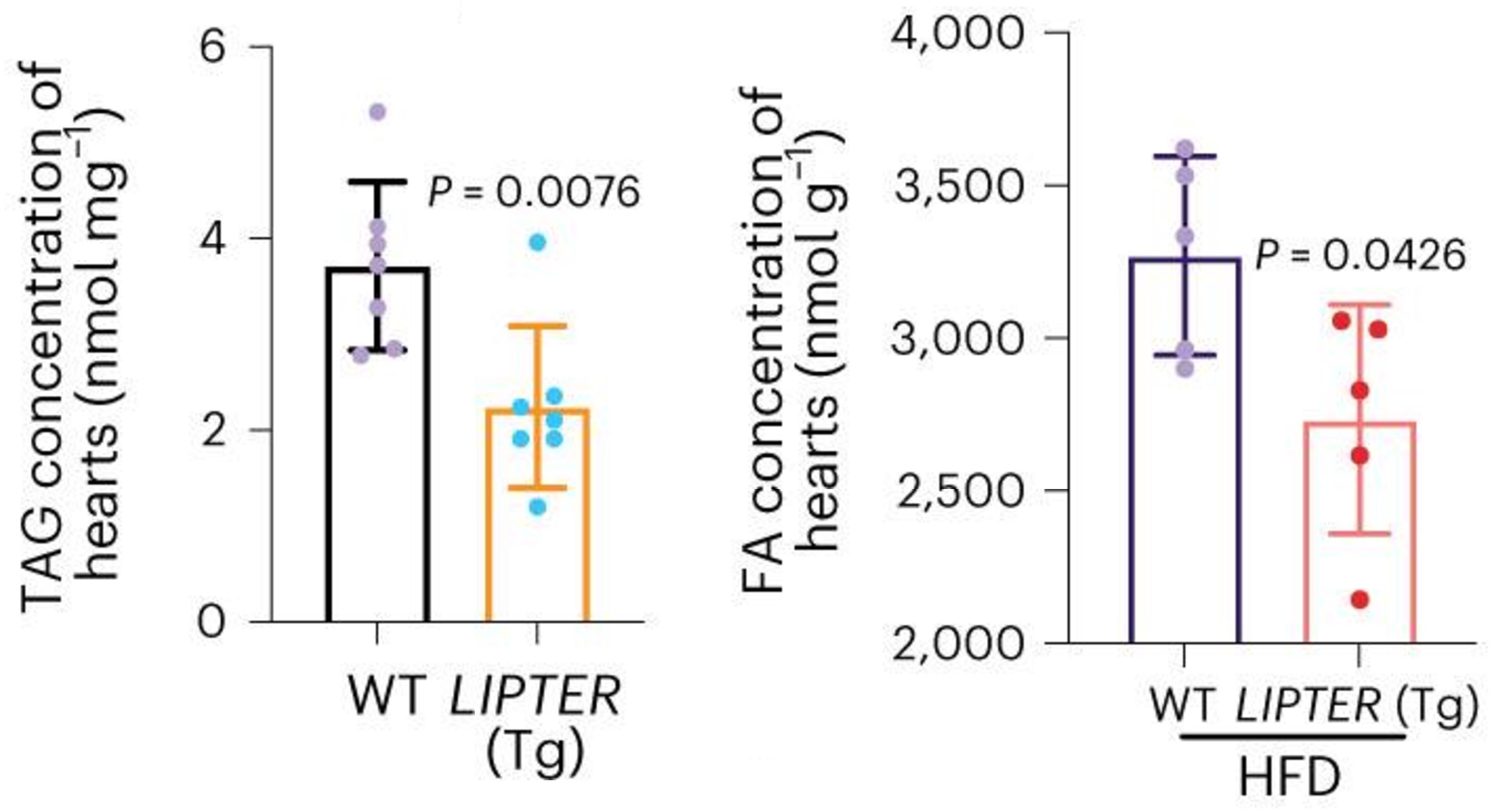 Biochemical assay - Free Fatty Acid Assay Kit - Quantification (ab65341), expandable thumbnail
