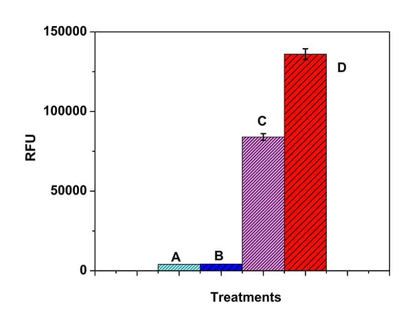 Functional Studies - Free Fatty Acid Uptake Assay Kit (Fluorometric) (AB176768)