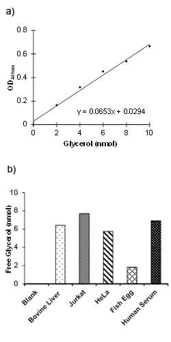 Functional Studies - Free Glycerol Assay Kit II (Colorimetric) (AB155899)