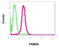 Flow Cytometry (Intracellular) - Anti-FRMD6/Willin antibody [EPR12261] - BSA and Azide free (AB249649)