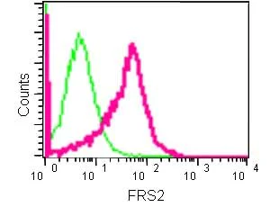 Flow Cytometry (Intracellular) - Anti-FRS2 antibody [EPR14724] - BSA and Azide free (AB240269)
