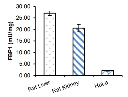 Functional Studies - Fructose-1,6-Bisphosphatase Activity Assay Kit (Colorimetric) (AB273329)