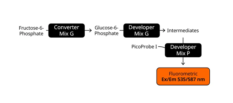 Functional Studies - Fructose-6-Phosphate Assay Kit (Fluorometric) (AB204720)