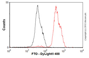 Flow Cytometry - Anti-FTO antibody [5-2H10] (AB92821), expandable thumbnail