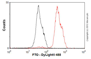 Flow Cytometry - Anti-FTO antibody [5-2H10] (AB92821)