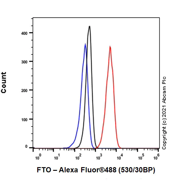 Flow Cytometry (Intracellular) - Anti-FTO antibody [EPR24440-12] - BSA and Azide free (AB280082)