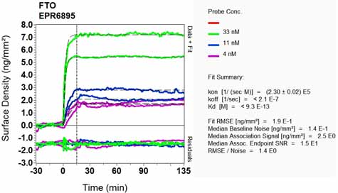OI-RD Scanning - Anti-FTO antibody [EPR6895] - BSA and Azide free (ab242390), expandable thumbnail