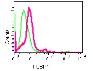 Flow Cytometry (Intracellular) - Anti-FUBP1/FBP antibody [EPR12327] - BSA and Azide free (AB240239)