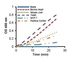 Functional Studies - Fumarase Activity Assay Kit (Colorimetric) (AB196992)