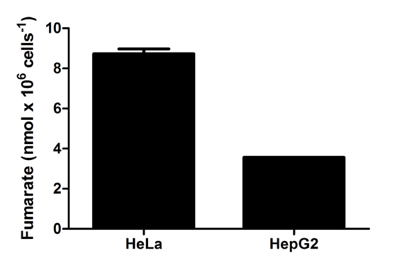 Functional Studies - Fumarate Assay Kit (AB102516)