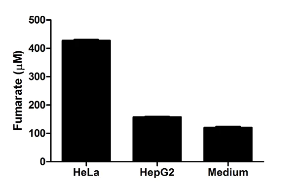 Functional Studies - Fumarate Assay Kit (AB102516)