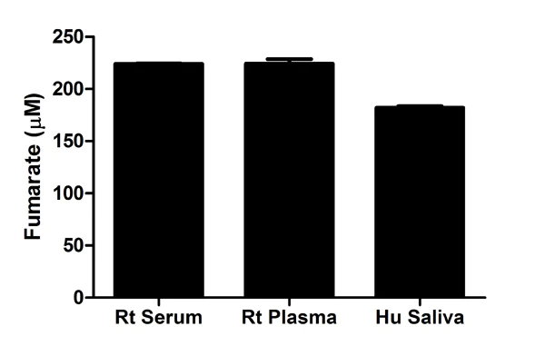 Functional Studies - Fumarate Assay Kit (AB102516)