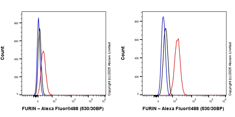 Flow Cytometry (Intracellular) - Anti-FURIN antibody [EPR28939-585] (AB324232), expandable thumbnail