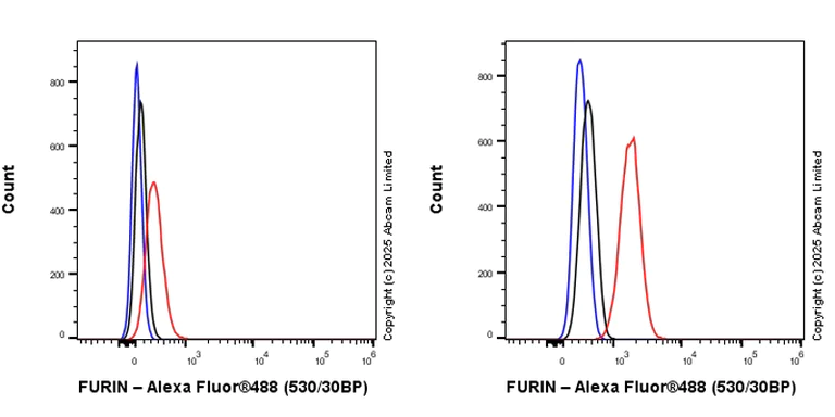 Flow Cytometry (Intracellular) - Anti-FURIN antibody [EPR28939-585] (AB324232)