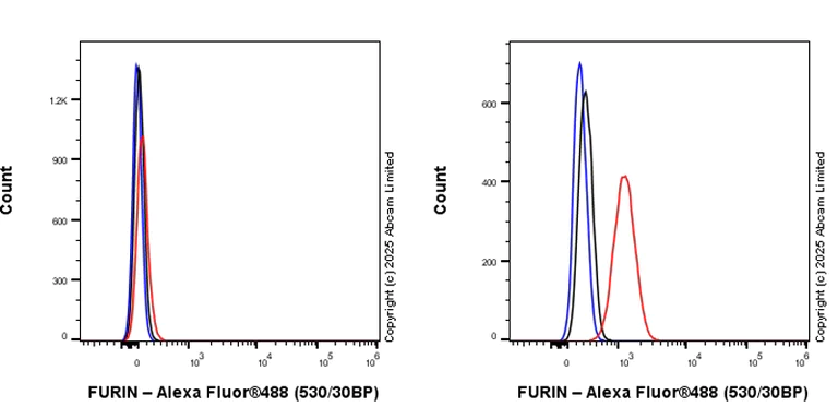 Flow Cytometry (Intracellular) - Anti-FURIN antibody [RM2083] (AB324440)