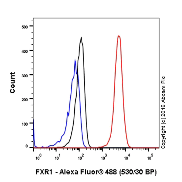 Flow Cytometry (Intracellular) - Anti-FXR1 antibody [EPR7932] - BSA and Azide free (AB240042)