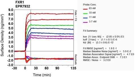 OI-RD Scanning - Anti-FXR1 antibody [EPR7932] - BSA and Azide free (AB240042)