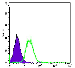 Flow Cytometry - Anti-Fyn antibody [2A10] (AB119855)