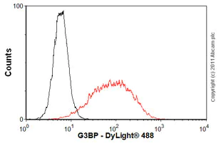 Flow Cytometry - Anti-G3BP antibody [2F3] (AB56574)