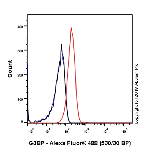 Flow Cytometry (Intracellular) - Anti-G3BP antibody [EPR13986(B)] - BSA and Azide free (AB240247)