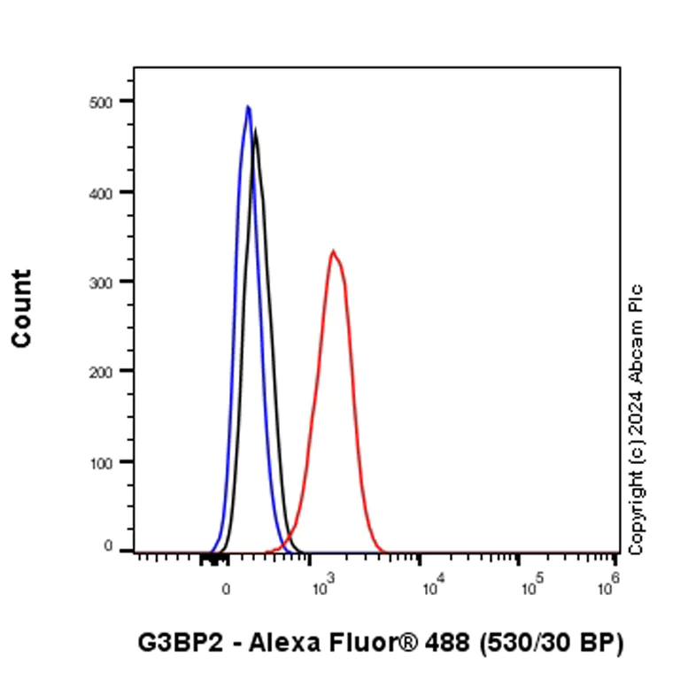 Flow Cytometry (Intracellular) - Anti-G3BP2 (isoform a) antibody [EPR27325-43] - BSA and Azide free (AB317688)