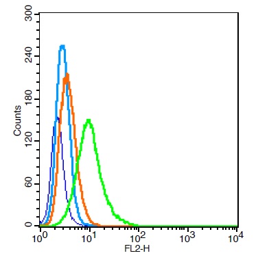 Flow Cytometry (Intracellular) - Anti-GABA A Receptor alpha 2/GABRA2 antibody (AB216973), expandable thumbnail