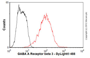 Flow Cytometry - Anti-GABA A Receptor beta 3/GABRB3 antibody [N87/25] (AB98968)