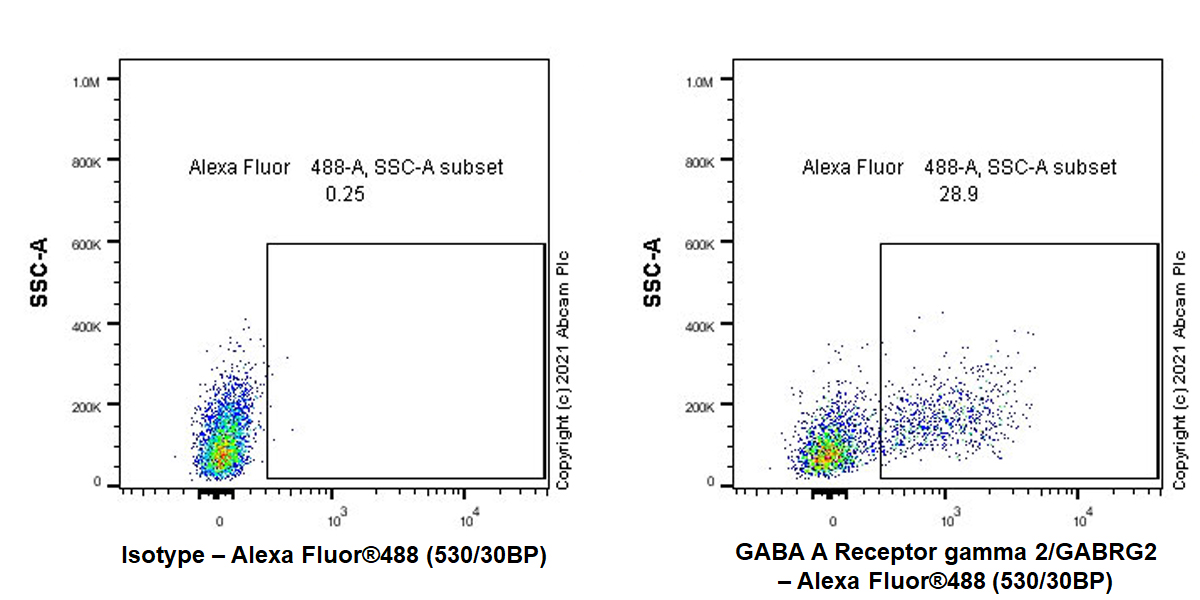 Flow Cytometry (Intracellular) - Anti-GABA A Receptor gamma 2/GABRG2 antibody [EPR25325-5] (AB288564)
