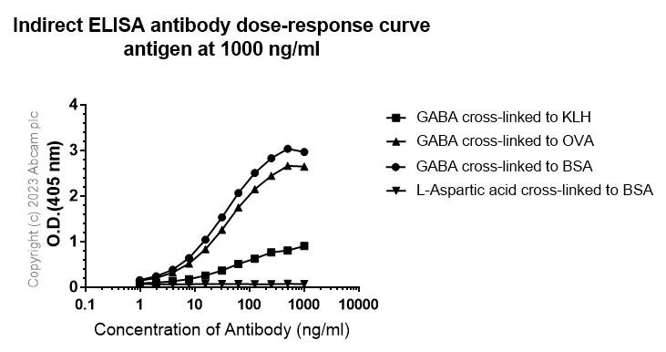 Indirect ELISA - Anti-GABA antibody [EPR24433-9] (AB308437)