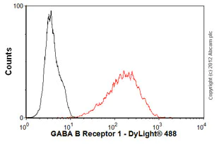 Flow Cytometry - Anti-GABA B Receptor 1 antibody [2D7] (AB55051)