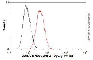 Flow Cytometry (Intracellular) - Anti-GABA B Receptor 2/GABBR2 antibody [EP2411Y] (AB75838)