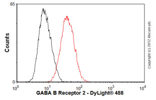Flow Cytometry (Intracellular) - Anti-GABA B Receptor 2/GABBR2 antibody [EP2411Y] - BSA and Azide free (AB230136), expandable thumbnail