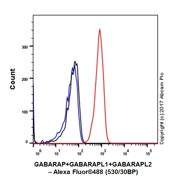 Flow Cytometry (Intracellular) - Anti-GABARAP+GABARAPL1+GABARAPL2 antibody [EPR4805] (AB109364), expandable thumbnail