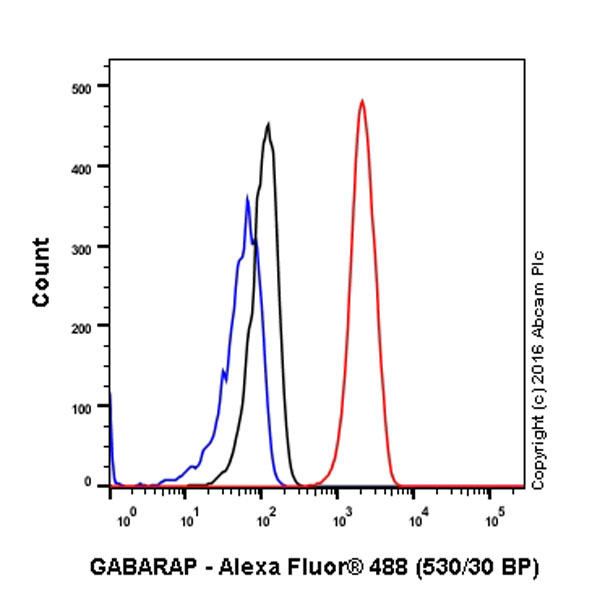 Flow Cytometry (Intracellular) - Anti-GABARAP+GABARAPL1+GABARAPL2 antibody [EPR4805] (ab109364), expandable thumbnail