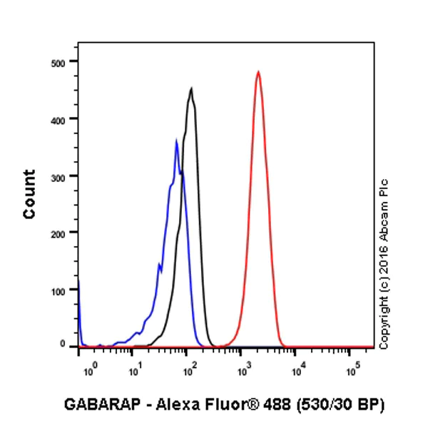 Flow Cytometry (Intracellular) - Anti-GABARAP+GABARAPL1+GABARAPL2 antibody [EPR4805] (AB109364)