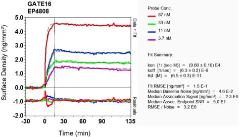 OI-RD Scanning - Anti-GABARAPL2/GATE-16 antibody [EP4808] (AB126607)